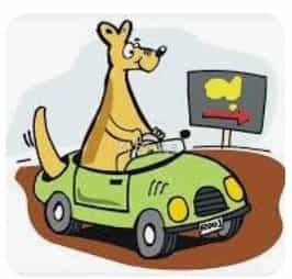If I buy a car in Darwin to travel Auz for 6 weeks or more,then aim to sell it in Adelaide area before flying away -any suggestions on what’s a good buy-Flame Trip