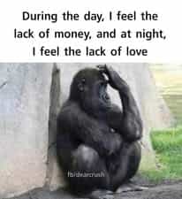 Fine girls should bless us  with fine pictureI repeat fine girl  be fast I have to choose my future wife